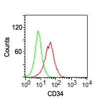 WB -  CD34 (Hematopoietic Stem Cell & Endothelial Marker) Antibody - Conjugated to PE  AH10219-50